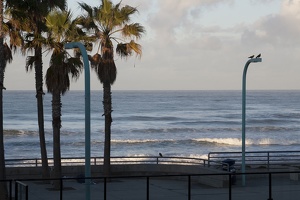 2011 February - San Diego